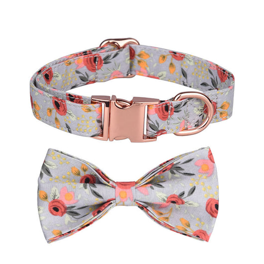Juego de Collar y Correa Personalizado para Mascotas - Image 23
