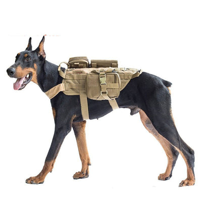 Chaleco Táctico Impermeable para Perros - Arnés K9 Entrenamiento Tallas S, M, L - Image 6