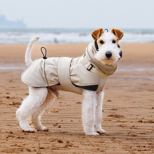 Abrigo Impermeable para Perros - Protección Contra Viento y Frío