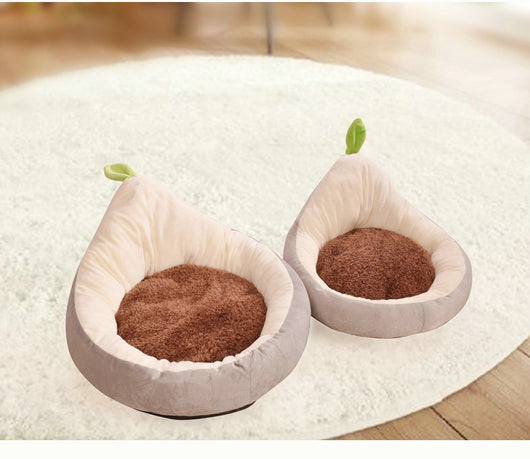Casa Desmontable para Gatos y Perros Pequeños Diseño Aguacate