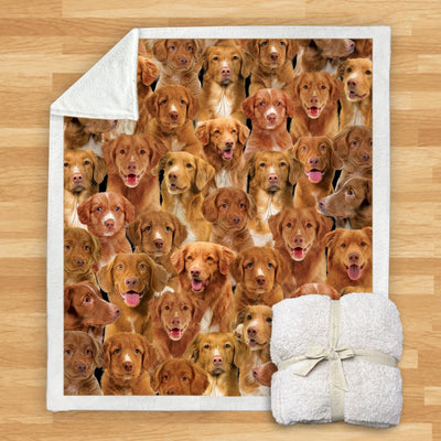 Manta de Franela Estampada para Perros de Diseño Moderno - Image 61
