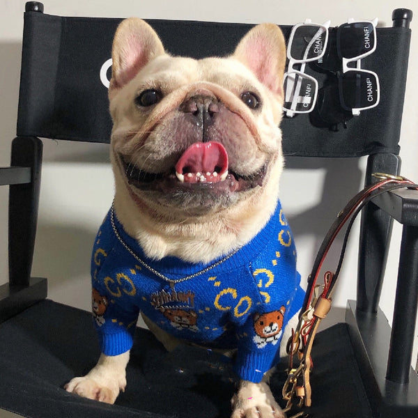 Ropa de Abrigo para Perros - Colección Otoño e Invierno