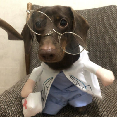 Disfraz Transformable del Perro Salchicha Doctor - Divertido y Creativo