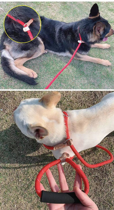 Cuerda de Entrenamiento para Pasear Perros con Agarre Manual - Image 24
