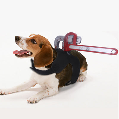 Ropa divertida de Halloween para mascotas - Image 8
