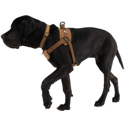 Cinturón de Entrenamiento para Perros con Correa de Sujeción Segura - Image 6
