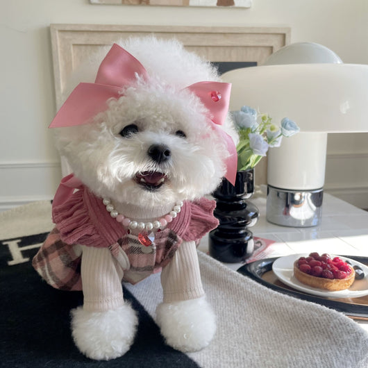 Diadema Ajustable con Moño para Mascotas - Accesorios de Moda Felina - Image 15
