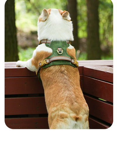 Brown leather pet harness with reflective stripes, adjustable tan buckles, and a gold D-ring on a white background. - Image 16