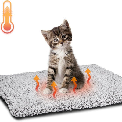 Manta Térmica Calefactable para Mascotas - Gatos, Perros y Cachorros - Image 5