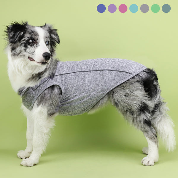 Ropa Reflectante para Perros Pequeños - Chaleco Luminoso Teddy, Pomerania y Pug