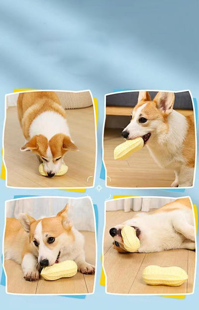 Juguete Masticable para Perros y Gatos con Sonido de Cacahuete - Image 10