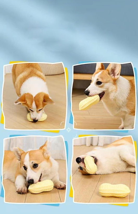 Juguete Masticable para Perros y Gatos con Sonido de Cacahuete - Image 10