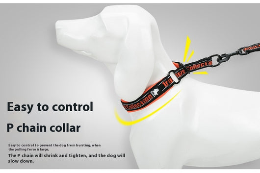 Collar Ajustable para Perro Truelove con Tela de Buceo Reflectante - Image 34