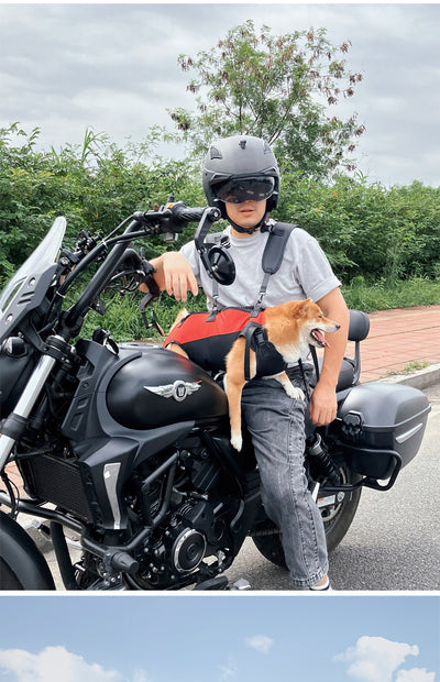 Mochila Transportadora Aérea para Mascotas - Paseos y Aventuras - Image 22