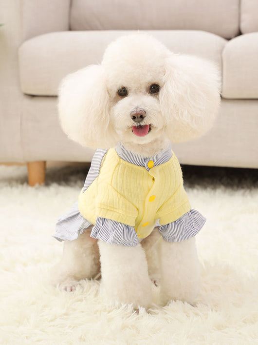 Ropa Delgada para Perros Pequeños - Abrigo Trendy Otoño Invierno - Image 3