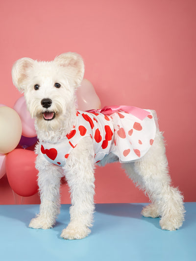 Vestido Estampado Día del Amor para Mascotas - Perros y Gatos - Image 8
