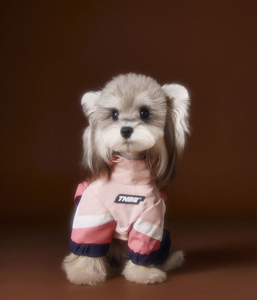 Ropa Deportiva para Perros Bichon Schnauzer con Arnés de Seguridad VIP - Image 20