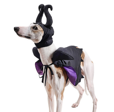 Capa y Sombrero de Halloween para Perros - Disfraz Festivo para Mascotas - Image 13
