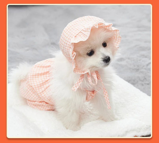 Conjunto de Ropa para Perro Mono Naranja con Gorro - Outfit Fashionable para Mascotas Pequeñas - Image 13