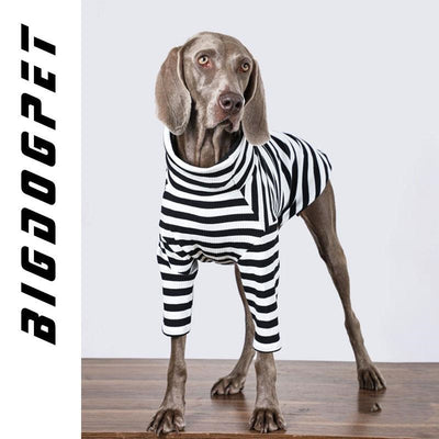 Ropa para Perros Grandes - Chaleco Delgado Transpirable - Image 9