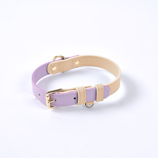 Juego de Collar y Correa para Perro en Cuero Premium - Image 7