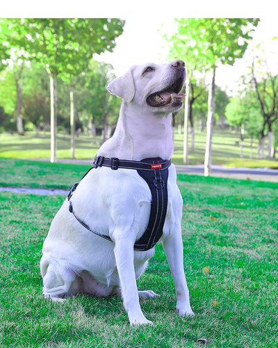 Arnés de Pecho con Cuerda de Tracción para Perros Pequeños, Medianos y Grandes - Image 18