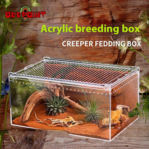 Caja de Alimentación para Reptiles con Alta Permeabilidad Acrílica