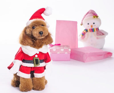 Suéter Navideño para Perros - Ropa Cómoda y Festiva - Image 4