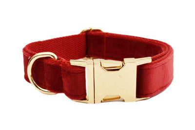 Collar de Tracción Resistente para Perros - Image 17