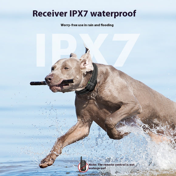 Entrenador Inteligente para Perros con Tecnología Smart