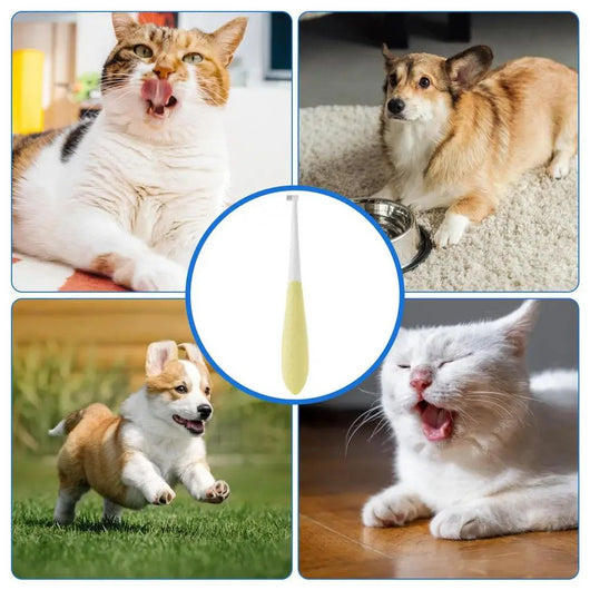 Cepillo Dental para Gatos y Perros Pequeños - Cuidado Bucal Seguro con Mango Antideslizante - Image 20