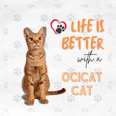 Funda de Almohada con Estampado de Gato Artístico en Algodón y Lino - Image 13