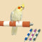 Juguete Mordedor de Loro Colorido para Mascotas