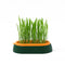 Standard Green Mode