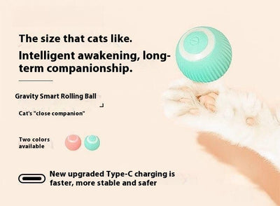 Two pink smart cat toy balls with ridged texture and a power button, offering 60 minutes of play on a full charge. - Image 11