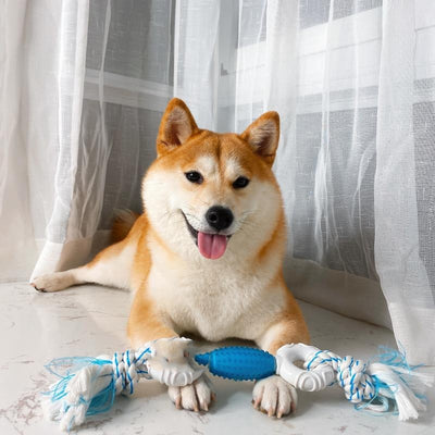 Juguete Masticable para Molares Shiba Inu - Entrenamiento Dental - Image 10
