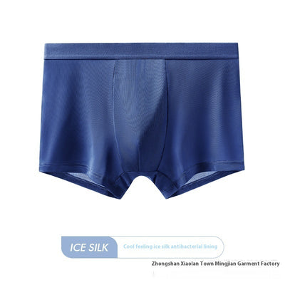 Calzoncillos Antibacterianos de Seda Helada para Hombre - Comfort 5A - Image 9