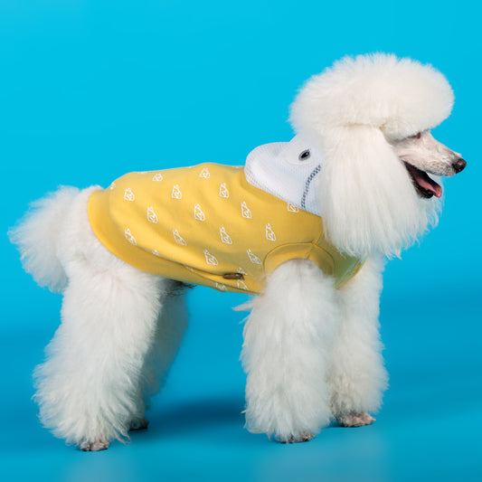 Ropa Elástica de Algodón para Perros - Primavera y Verano