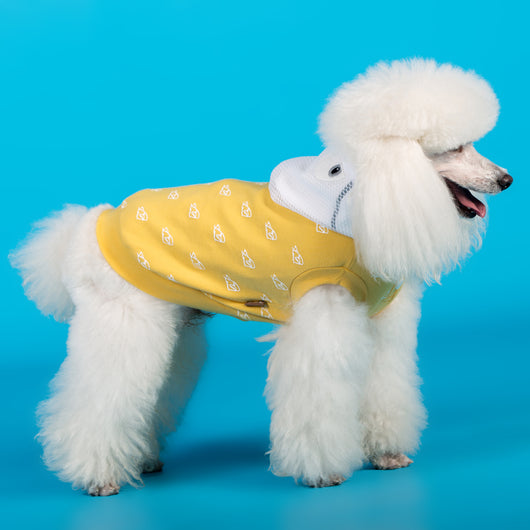 Ropa Elástica de Algodón para Perros - Primavera y Verano