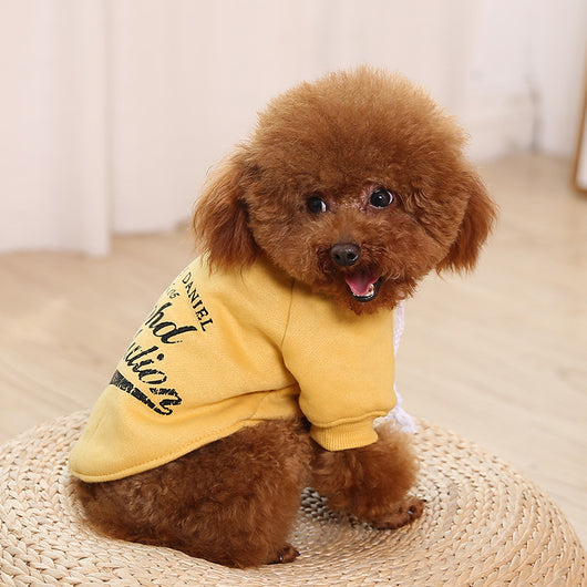 Suéter Cálido para Perros con Patrón Otoño e Invierno - Image 19