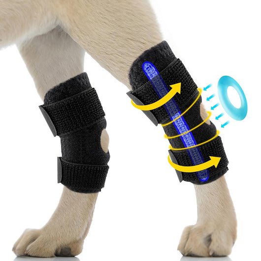 Arnés de Soporte para Patas Traseras en Perros - Image 5