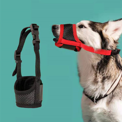 Protector Bucal Canino Antimordascos