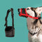 Protector Bucal Canino Antimordascos