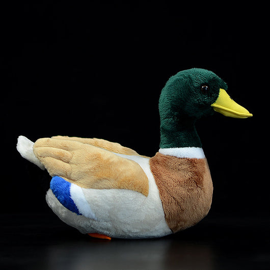 Peluche Pato Mallard Adorable - Image 16