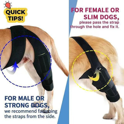 Black pet leg brace for dog injury assistance and rehabilitation, featuring adjustable straps and a supportive design. - Image 12