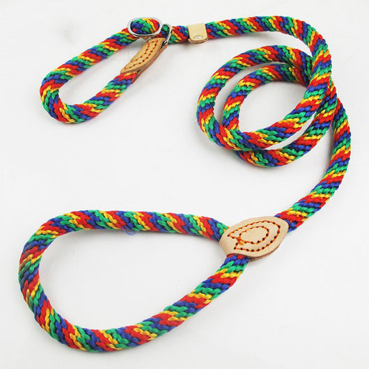 Correa de Adiestramiento con Collar de Tracción Integrado - Image 14