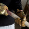 Guantes Tácticos de Ciclismo con Protección Reforzada