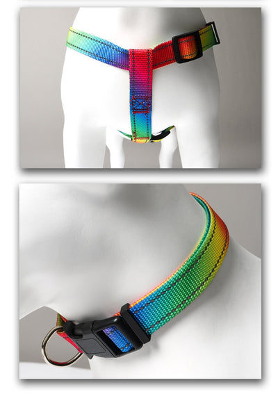 Arnés Colorido con Correa para Perros - Diseño Creativo y Seguro - Image 11