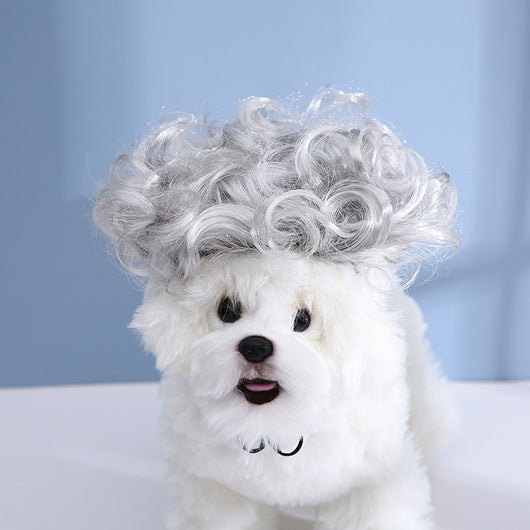 Peluca y Tocado para Mascotas - Disfraz Divertido - Image 9