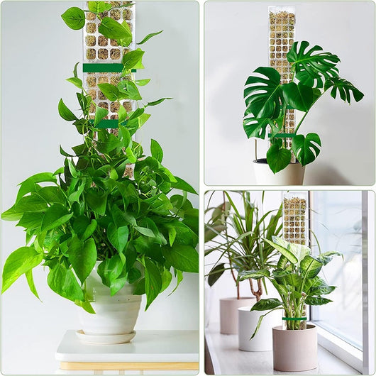 Soporte de Musgo Plástico para Plantas Trepadoras y Enredaderas - Image 20